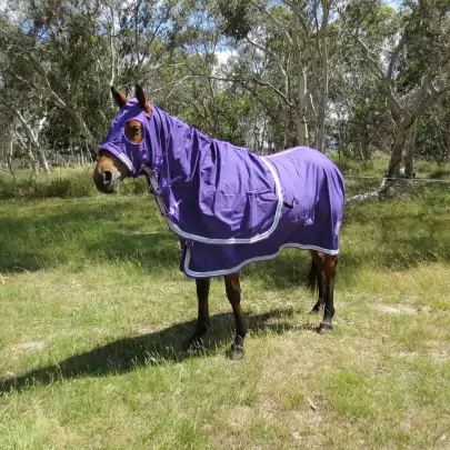 Cotton Show Horse Rugs Purple
