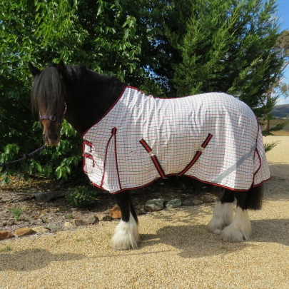 Clydesdale Cotton Heavy Horse Rugs Red