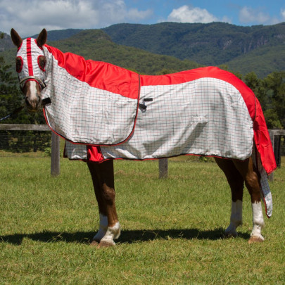 Rainsheet Cotton Show Set Horse Rugs Red