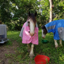 Clydesdale Rain Hybrid Combo Heavy Horse Rugs Pink|Horse Rugs | LOVE MY HORSE - Australia