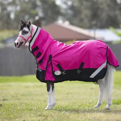 Aradelle Miniature Horse wearing Love My Horse 1200 Denier Rainsheet Combo in Pink and Navy